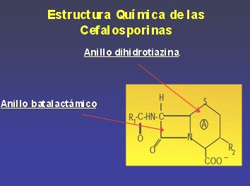 penicilinas_cefalosporinas16