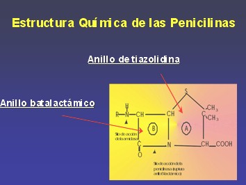 penicilinas_cefalosporinas2