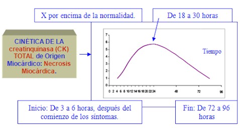 cinetica_creatinquinasa