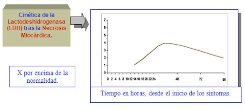 cinetica_lactodeshidrogenasa