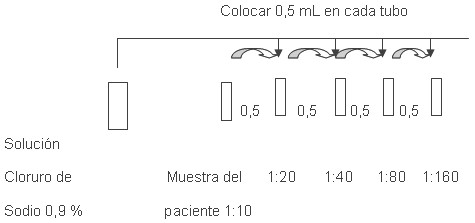 graf1 graf1