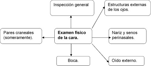 examen_fisico_cara