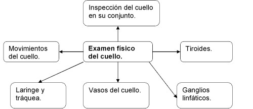 Semiologia Del Torax Pdf File