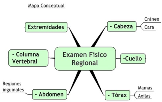 examen_fisico_regional