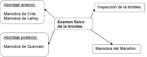 examen_fisico_tiroides