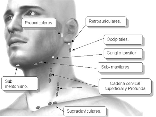 examen_ganglios_linfaticos