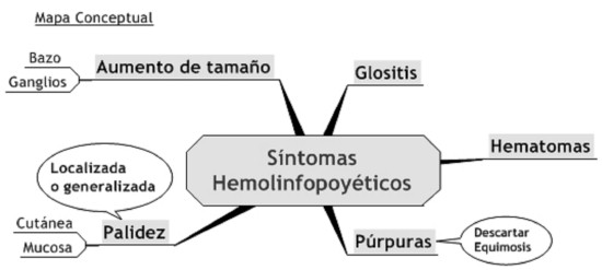 hemolinfopoyetico