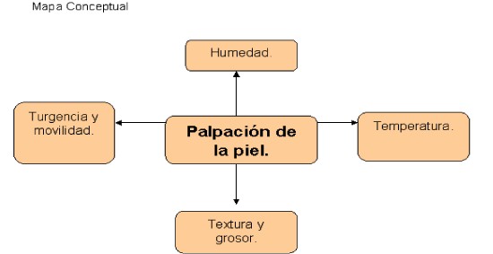 palpacion_piel