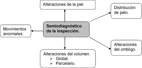 semiodiagnostico_inspeccion