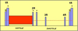 insuficiencia_mitral2