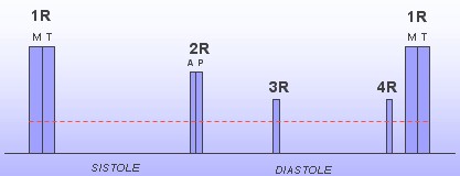 llenado_ventricular2