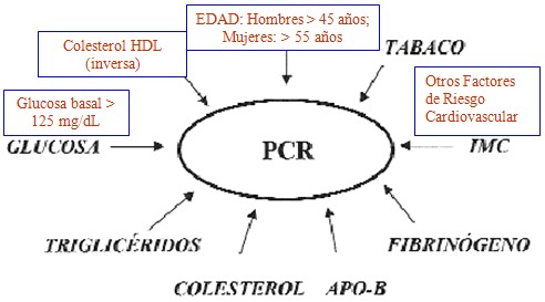 proteina_C_reactiva_riesgo_cardiovascular_PCR_2