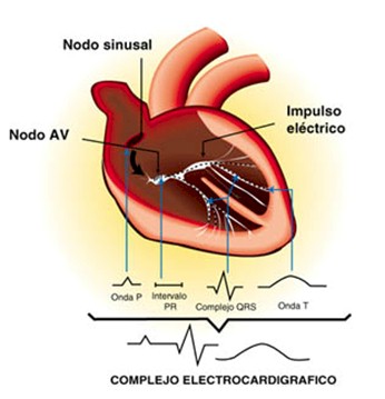 guia_urgencia_urgencias_emergencia_emergencias_1