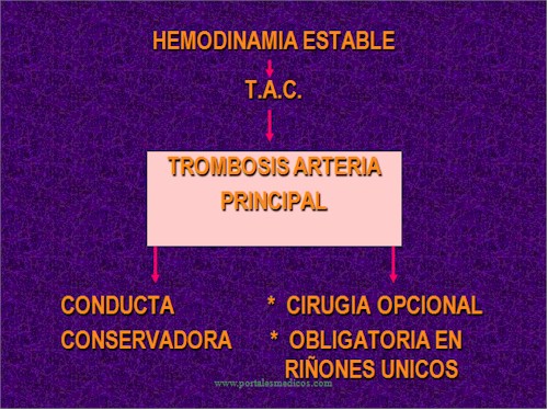 traumatismos_renales_mayores_2_tratamiento