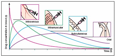 http://www.portalesmedicos.com/images/publicaciones/1007administracion_farmacos/concentracion_plasmatica.jpg