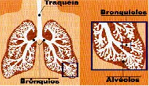 inhalatoria