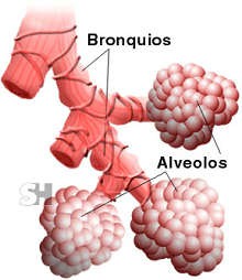 inhalatoria2