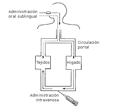 oral_sublingual