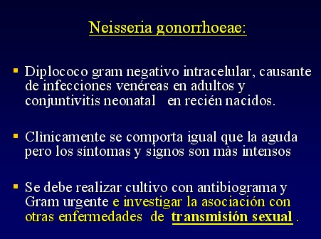 Neisseria_Gonorrhoeae Neisseria_Gonorrhoeae
