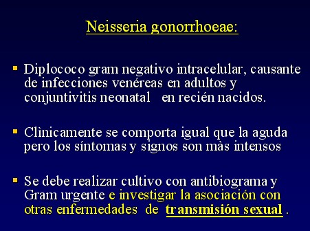 Neisseria_Gonorrhoeae