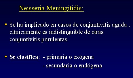 Neisseria_Meningitidis
