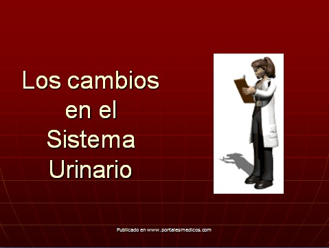 cambios_embarazo/cambios_sistema_urinario_embarazo