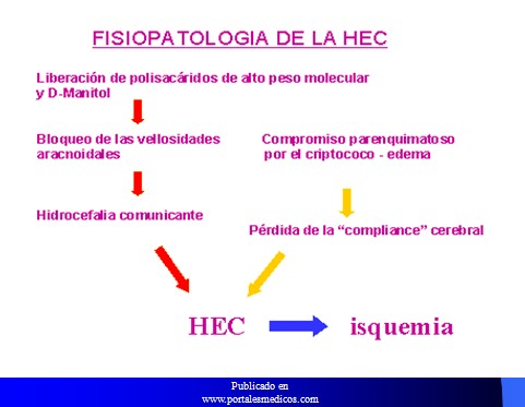 cefaleas_cefalalgias_cefalalgia/cefalea_fisiopatologia_HEC_hidrocefalia