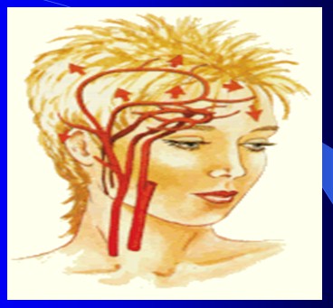 cefaleas_cefalalgias_cefalalgia/cefalea_jaqueca_migraña cefaleas_cefalalgias_cefalalgia/cefalea_jaqueca_migraña