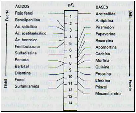 farmacocinetica/farmacocinetica_12 farmacocinetica/farmacocinetica_12