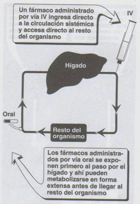 farmacocinetica/farmacocinetica_15 farmacocinetica/farmacocinetica_15