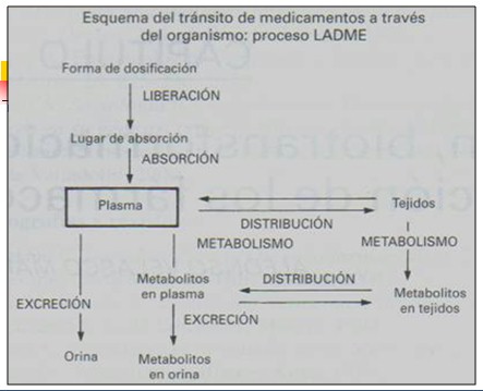 farmacocinetica/farmacocinetica_2 farmacocinetica/farmacocinetica_2