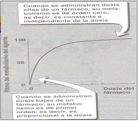 farmacocinetica/farmacocinetica_24 farmacocinetica/farmacocinetica_24