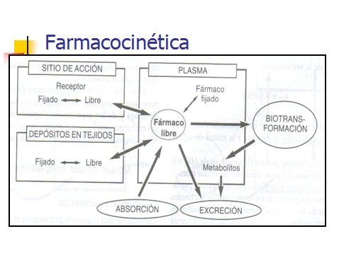 farmacocinetica/farmacocinetica_4 farmacocinetica/farmacocinetica_4