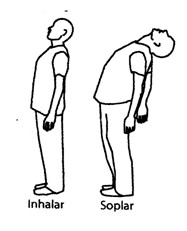 filosofia_salud/ejercicios_yang_sistema_urinario