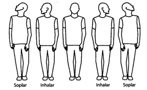 filosofia_salud/ejercicios_yang_vertebras_cervicales