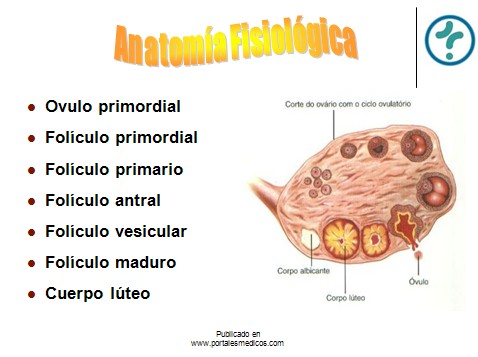 fisiologia_reproductiva/anatomia_fisiologica_genitales_internos_mujer