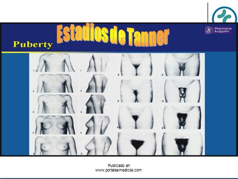 fisiologia_reproductiva/pubertad_estadios_tanner fisiologia_reproductiva/pubertad_estadios_tanner