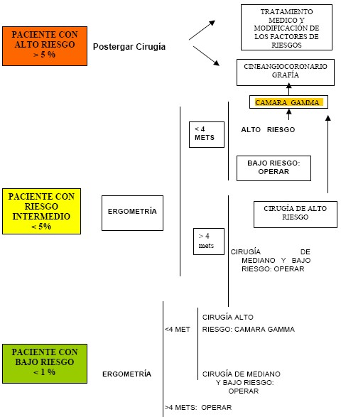 manual_cardiologia_pautas/algoritmo_evaluacion_riesgo_cardiaco_quirurgico