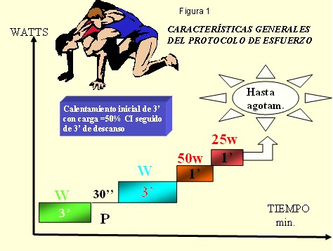 medicina_deporte_lucha/estructura_ergometrica_lucha_grecorromana