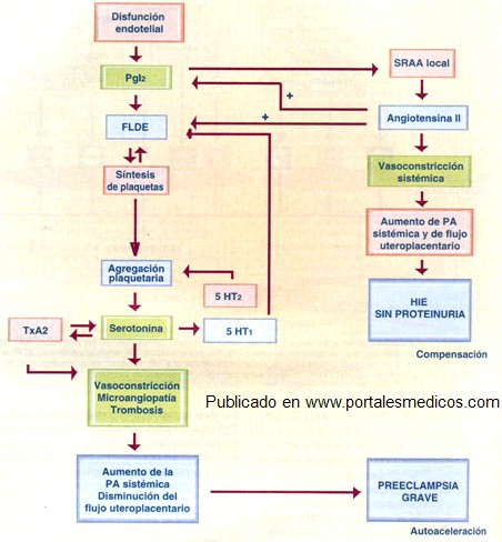 preeclamsia/fisiopatologia_preeclampsia