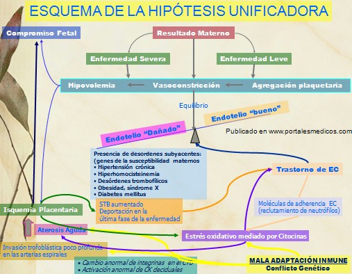 Preeclampsia Eclampsia