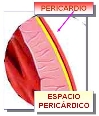 marcadores_cardiacos_isquemia/pericardio_espacio_pericardico_IAM_troponina