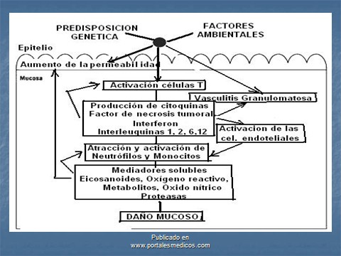 enfermedad_crohn_colitis_ulcerosa/EC_CU_patogenia_fisiopatologia