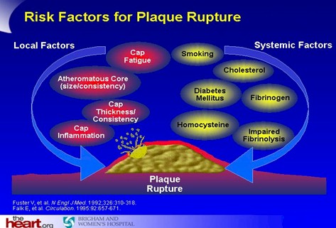 prevencion_deteccion_tratamiento_HTA/factores_riesgo_placa_ruptura