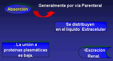 aminoglucosidos3