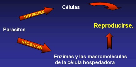 antivirales antivirales