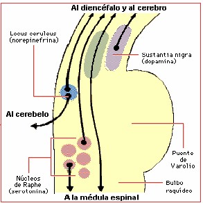 cefalea_horton3 cefalea_horton3