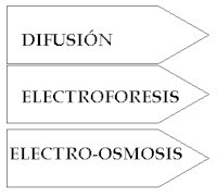 crioelectroforesis