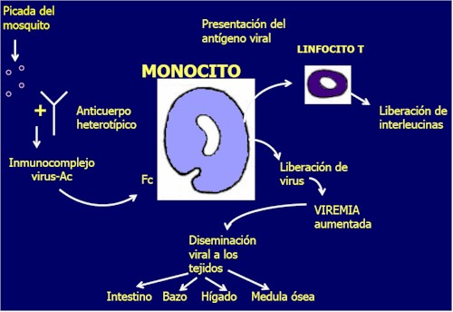 dengue_antigeno_viral