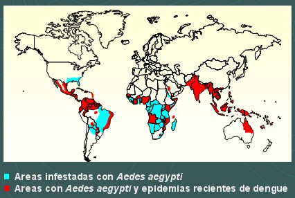 dengue_distribucion_mundial
